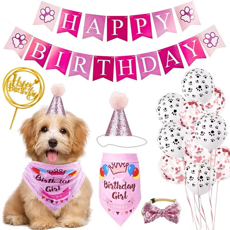 Party Set Up Bundle