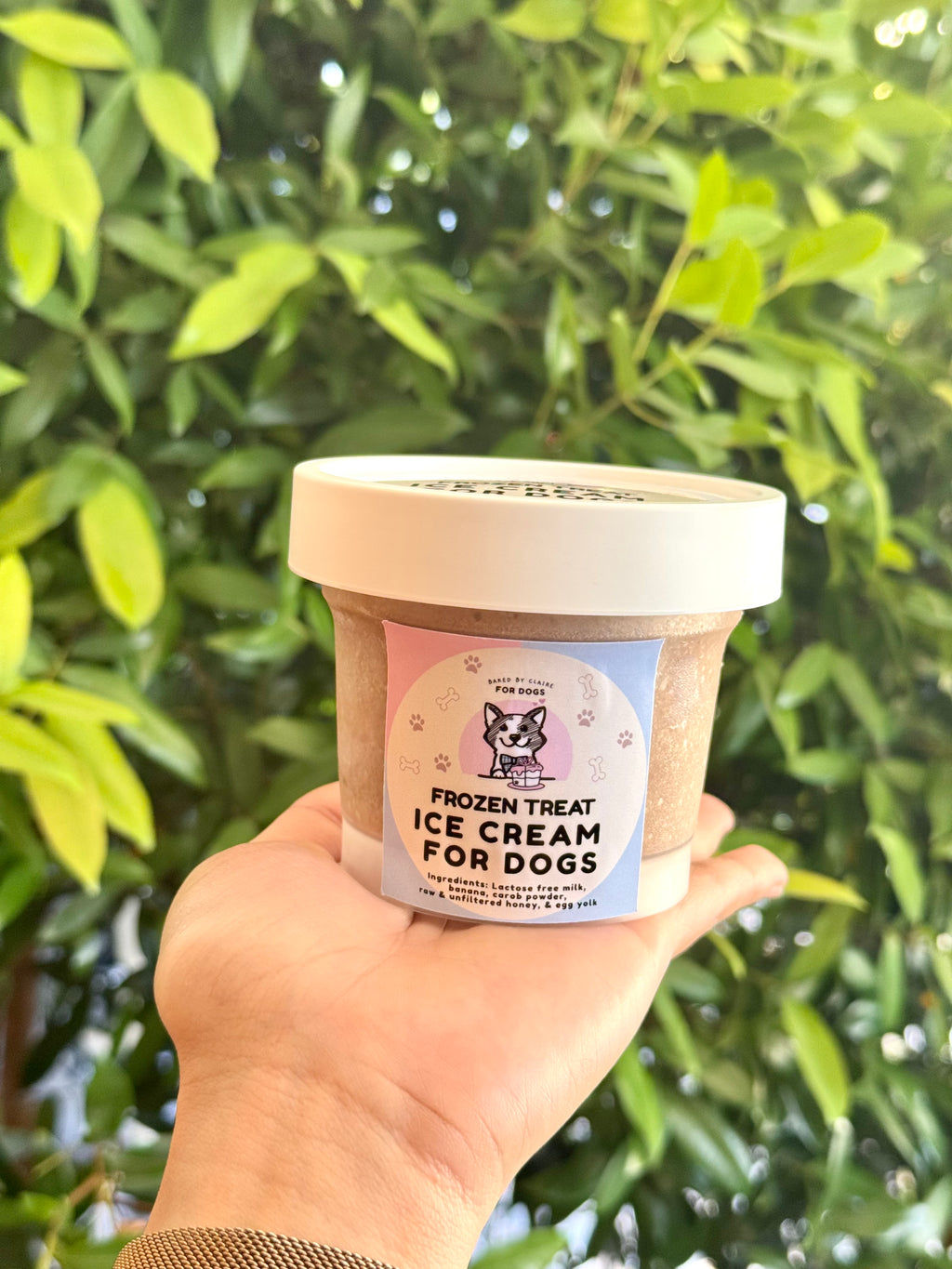 Frozen Treat - Ice Cream for Dogs