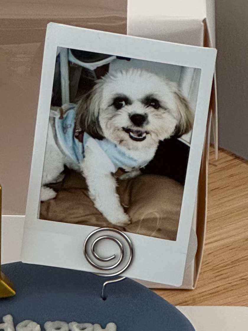 Instax Film Print + Holder